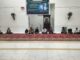 DEMA FASYA Gelar Perayaan Maulid Nabi Muhammad SAW