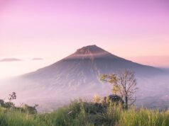Tentang Rasa