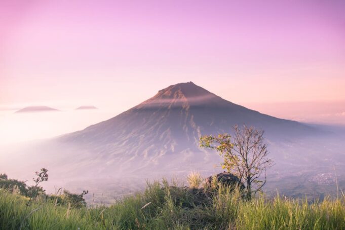 Tentang Rasa