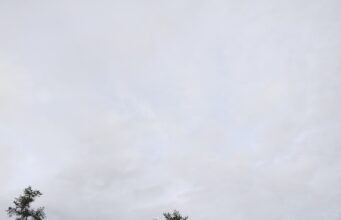 Hati yang Menetap di Tahun 2019