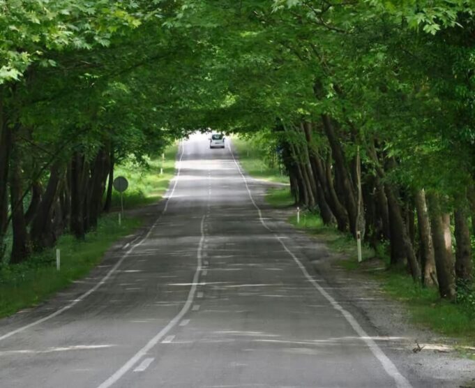 Di Ujung Jalan yang Sama