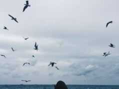 Laut yang Tak Menenangkan