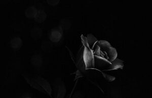 Jejak yang Tak Pernah Kembali