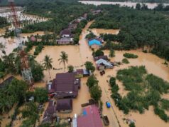 Hutan Sumatra Jangan Dirusak, Itu Rumah Kita!