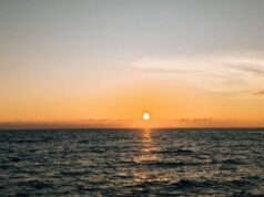 Senja