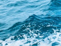 Biru Laut