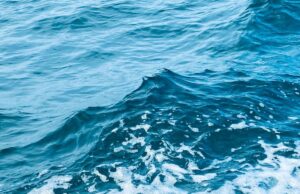 Biru Laut
