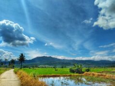 Senyum di Balik Lelah