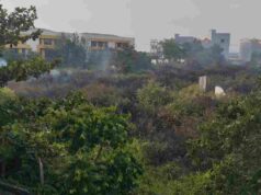 Kebakaran Lahan Terjadi di Belakang Kampus UIN Datokarama, Petugas Selidiki Penyebabnya