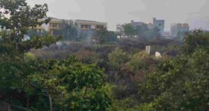 Kebakaran Lahan Terjadi di Belakang Kampus UIN Datokarama, Petugas Selidiki Penyebabnya